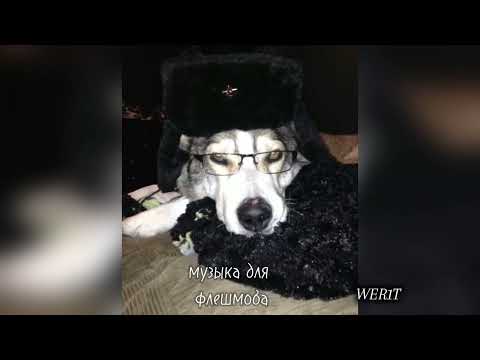 Видео: 🕷//музыка для флешмоба //🕷