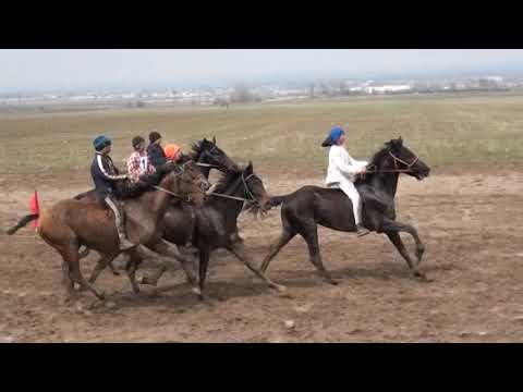 Видео: Сокулук Белек айылы.Аламан 2022-жыл.20-март.