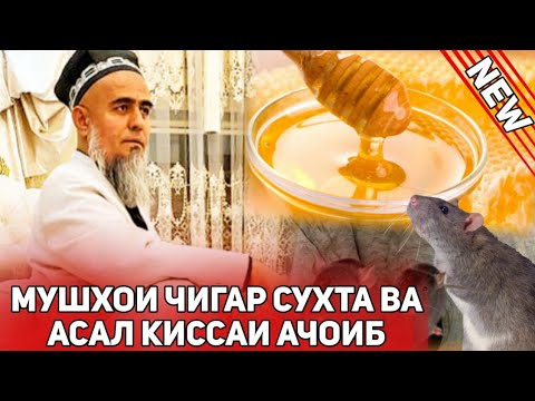 Видео: МУШХОИ ЧИГАР СУХТА ВА АСАЛ КИССАИ ОЧОИБ БИН РОХАТ МЕКНИ ДОМУЛЛО АБДУРАХИМ