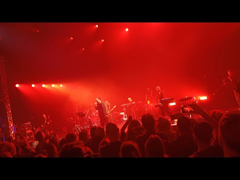 Видео: ДДТ | Родина | Live in London 2025