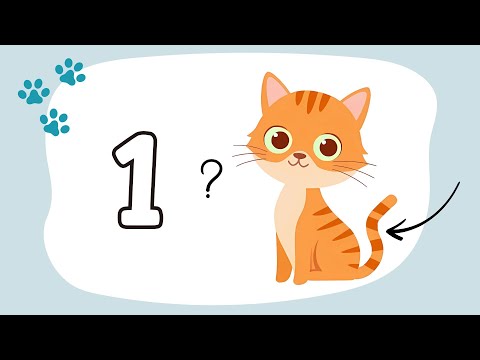 Видео: "Математика з котиком Мурчиком🐱Число і цифра 1. Круг" Математика для дітей (старша група)
