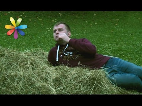 Видео: Самвел и Поливода в Закарпатье спасают жениха: часть 3 – Все буде добре. Выпуск 763 от 24.02.16