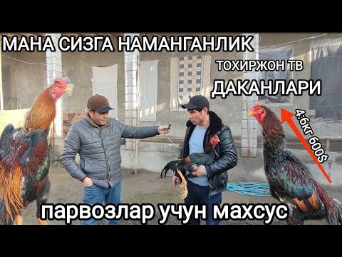 Видео: МАНА СИЗГА НАМАНГАНЛИК ПАРВОЗ ТОХИРЖОН ТВ ДАКАНЛАРИ ПАРВОЗЛАР УЧУН МАХСУС