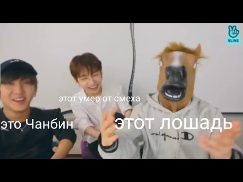 Видео: типичная трансляция 3racha