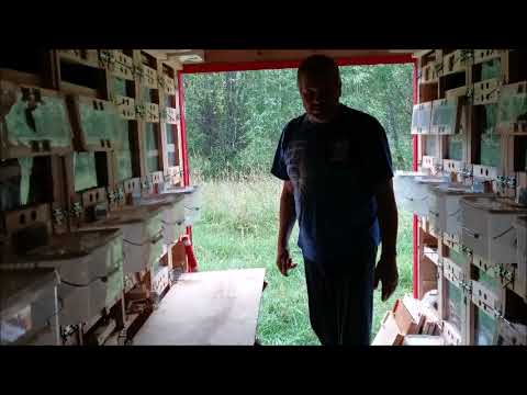 Видео: Павильон "Берендей -3Д"  август 2021