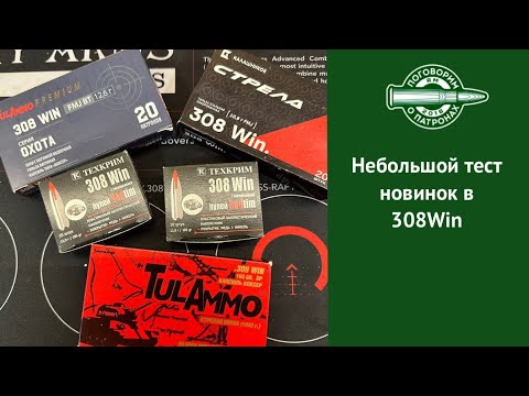 Видео: Тест патронных новинок в 308Win