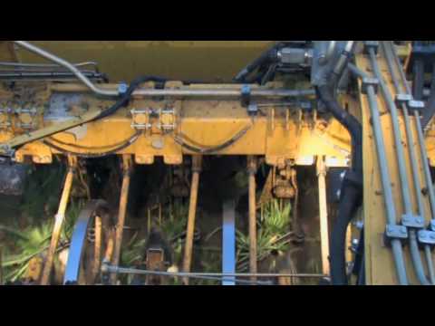 Видео: ROPA euro-Tiger V8-3 Эксплуатация - russisch.wmv