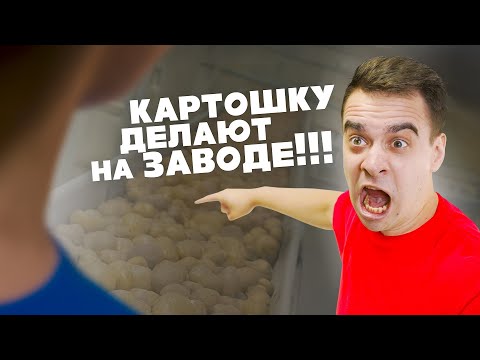 Видео: КОРОЧЕ ГОВОРЯ, Я САМЫЙ ГЛУПЫЙ В МИРЕ