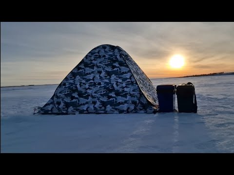 Видео: С УЮТОМ В КИТАЙСКОЙ ПАЛАТКЕ! РЫБАЛКА С НОЧЁВКОЙ! СУДАКИ НА ЖЕРЛИЦЫ!