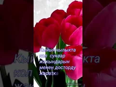 Видео: Жакшыларым,  жакындарым сиздер үчүн 🌷🌿