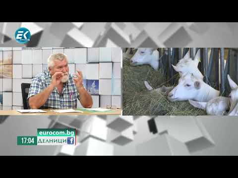 Видео: Йордан Малджански