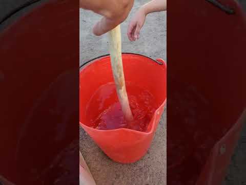 Видео: Важное о воде для обработки растений. ЕС и РН воды - 2