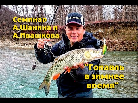Видео: Алексей Шанин и Алексей Ивашков,. Семинар посвященный ловле голавля в зимнее время на спиннинг