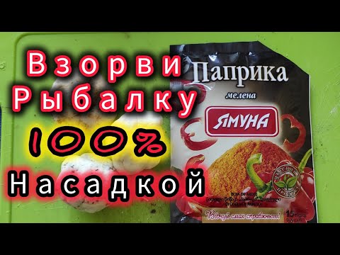 Видео: ВЫЛОВИ ВСЮ РЫБУ ЭТОЙ НАСАДКОЙ!!! Насадка на Карася ,Карпа,ПлотвУ!!!