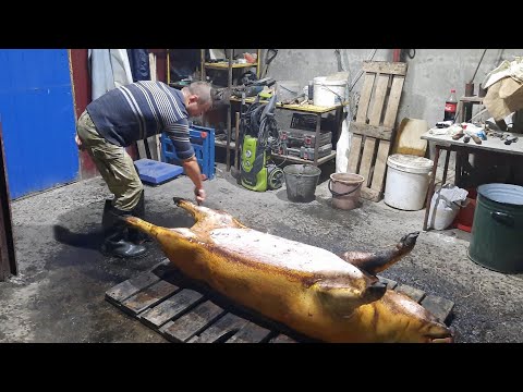 Видео: //Так смалять на Полтавщині і Сумщині// Чому з мішком,а не соломою//
