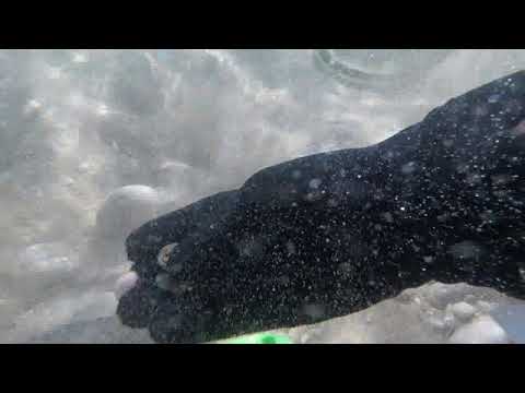 Видео: КОП В ИСПАНИИ, ОБЗОР ЗА ГОД КОПА