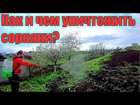 Видео: Как уничтожить любой бурьян? Смотрим на практике, обработка гербицидом!