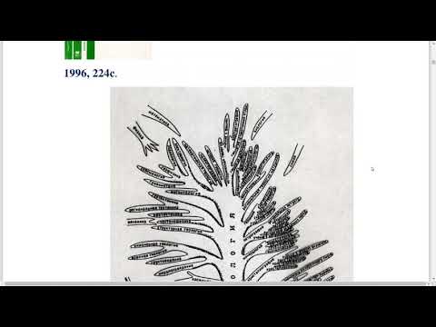 Видео: Полетаев А. И. - Москва геологическая - 1. Вводная лекция