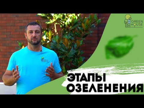 Видео: Этапы Озеленения Участка