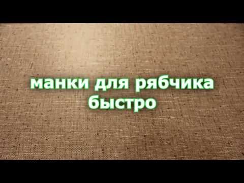 Видео: 5 минут и манок на рябчика из подручных материалов