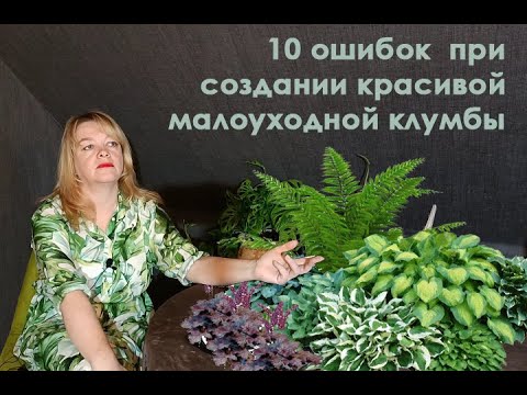 Видео: 10 ошибок при создании красивой малоуходной клумбы