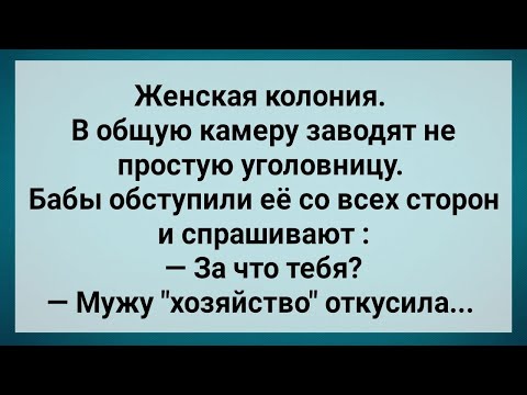 Видео: Уголовница Откусила Мужу ''Хозяйство''! Сборник Свежих Анекдотов! Юмор!.