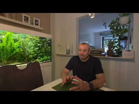 Видео: Аквариум уборка правый угол