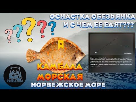 Видео: ⭐❓️❓️ ОСНАСТКА ОБЕЗЬЯНКА И С ЧЕМ ЕЕ ЕДЯТ❓️❓️⭐