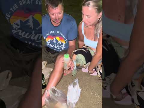 Видео: Тайская уличная еда 