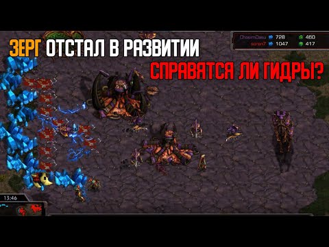 Видео: Старкрафт P VS Z Не стандартный билд ордер = проблемы или результат?
