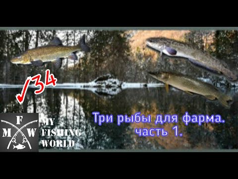 Видео: 34) My Fishing World Три рыбы для фарма!? Часть 1.