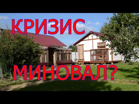 Видео: КУПАТЬСЯ БОЛЬНОЙ ГОЛУБЬ НЕ БУДЕТ.КЕФИР В ВОДУ. проводим эксперимент ставим воду, проверяем