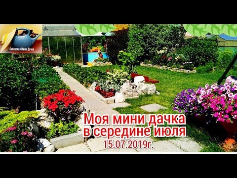 Видео: МОЯ МИНИ ДАЧКА В СЕРЕДИНЕ ИЮЛЯ