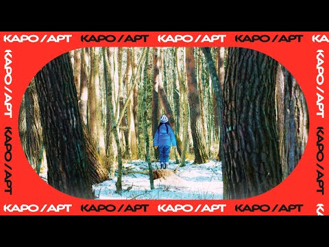 Видео: «Зло не существует» / разговор с Андреем Гординым