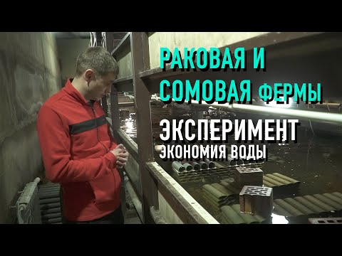 Видео: Большой выпуск: Раковая ферма, Сомовая ферма и эксперименты с оборудованием.