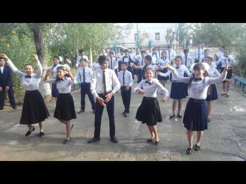 Видео: Тасбугет #257