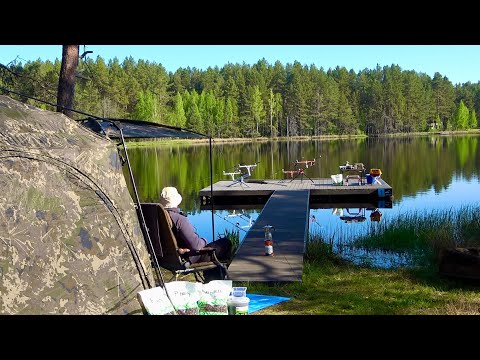 Видео: Ну і сильні тут риби, підсік і усе зупинилось! Дві ночі в лісі як в раю! Рибалка на сазана