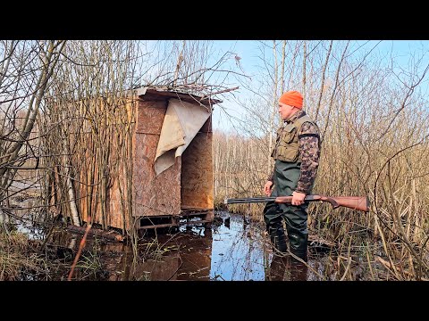 Видео: ВЫВЕЗ СТРОИТЕЛЬНЫЙ ХЛАМ В БОЛОТО. БОБРЫ И УТКИ НЕДОВОЛЬНЫ...