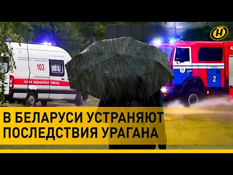 Видео: В Беларуси устраняют ПОСЛЕДСТВИЯ УРАГАНА. Города без света и воды. Службы работают круглосуточно