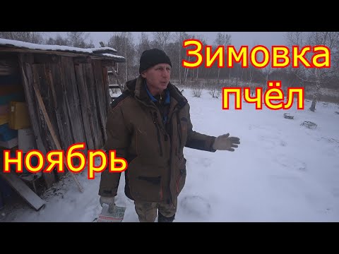 Видео: ЗИМОВКА пчёл в ОМШАННИКЕ! Вентиляция в ульях, КАРНИКА в СИБИРИ