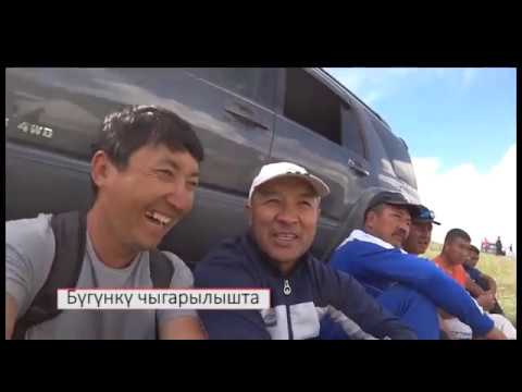 Видео: Суусамыр. Кубантайдын күрөшү (видео влог) 2-күн