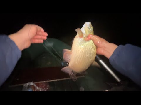 Видео: Рыбалка с ночёвкой на налима и язя! 