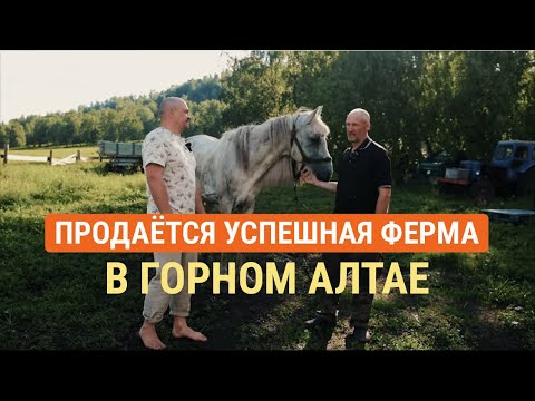 Видео: Продаётся успешно действующая семейная ферма в Горном Алтае, рядом с Чемалом