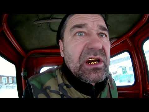 Видео: Нива    т 40 ЕЛКА Б Кантат