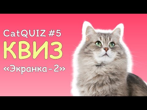 Видео: CatQUIZ #5 ЭКРАНКА - 2 | КВИЗ