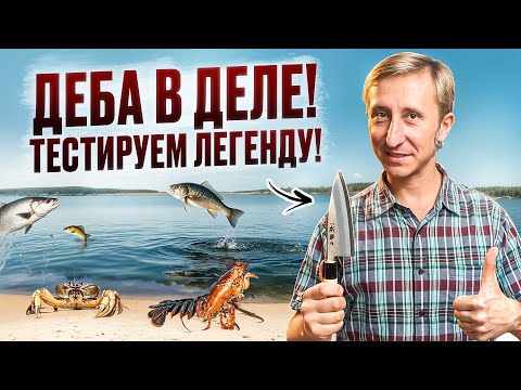 Видео: ДЕБА В ДЕЛЕ! ТЕСТИРУЕМ ЛЕГЕНДУ!