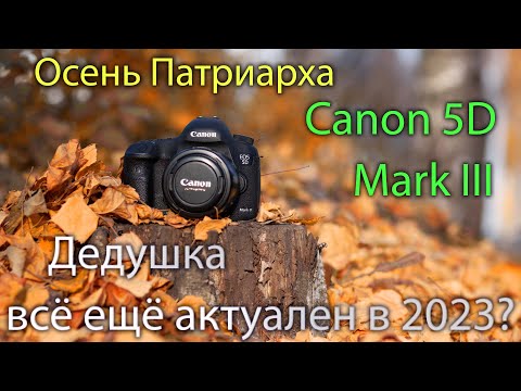 Видео: 12 достоинств Canon 5D Mark III которые делают ее актуальной в 2023 году.
