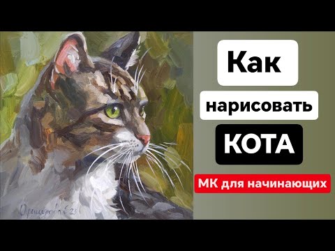 Видео: Как нарисовать кота. Мастер класс для начинающих художников