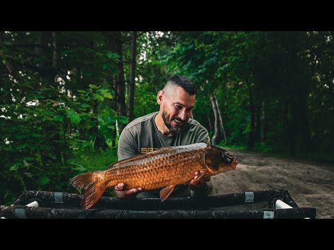 Видео: Як Ловити на Zig Rig!!! Регульований Zig