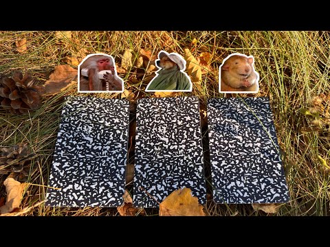 Видео: Сентябрь 2025. События ближайшего будущего🍄‍🟫🌾